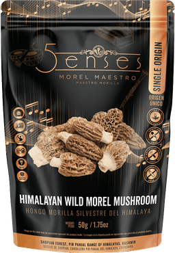 Moril Mushroom