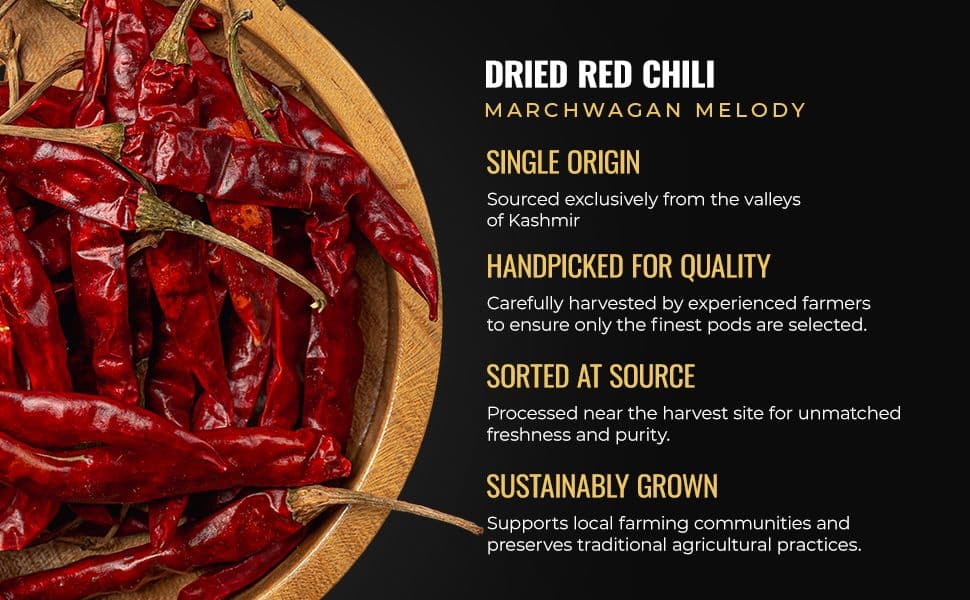 Kashmir red chili: the valley origin of Marchwagan Melody
